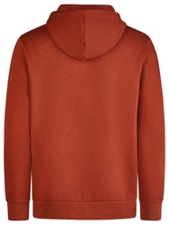 Jack & Jones Kapuzenpullover JJEADRIAN Regular Fit Hoodie Rot/Orange
