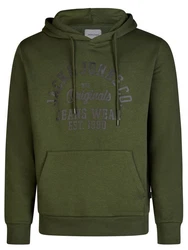 Jack & Jones Kapuzenpullover JJEADRIAN Regular Fit Hoodie Dunkelgrün/Grün