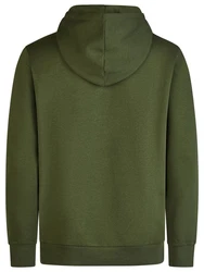 Jack & Jones Kapuzenpullover JJEADRIAN Regular Fit Hoodie Dunkelgrün/Grün