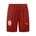 PUMA Trainingsshorts GSK TRAINING SHORTS Galatasaray Istanbul (2024/2025) Rot/Dunkelrot/Orange