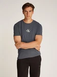 Calvin Klein Jeans T-Shirt MONOLOGO TEE Dunkelgrau/Dunkelblau/Khaki/Grau