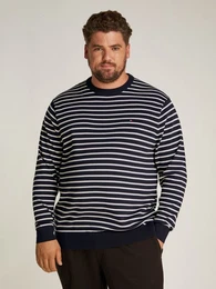 Tommy Hilfiger Big & Tall Rundhalspullover BT-ESSENTIAL COTTON CREW NECK-B in Groen Gren, Logostickerei