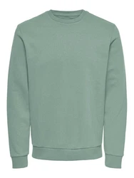 ONLY & SONS Sweatshirt ONSCERES CREW NECK NOOS Grün/Hellgrün