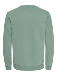 ONLY & SONS Sweatshirt ONSCERES CREW NECK NOOS Grün/Hellgrün