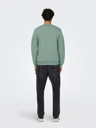 ONLY & SONS Sweatshirt ONSCERES CREW NECK NOOS Grün/Hellgrün