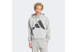 adidas Sportswear Kapuzensweatshirt Essentials Hellgrau/Grau/Silber