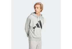 adidas Sportswear Kapuzensweatshirt Essentials Hellgrau/Grau/Silber
