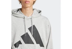 adidas Sportswear Kapuzensweatshirt Essentials Hellgrau/Grau/Silber