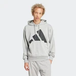 adidas Sportswear Kapuzensweatshirt Essentials Hellgrau/Grau/Silber