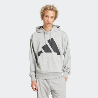 adidas Sportswear Kapuzensweatshirt Essentials Hellgrau/Grau/Silber