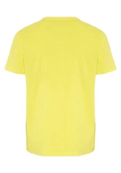 Chiemsee Print-Shirt T-Shirt (1) 1