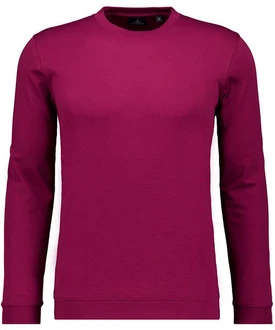RAGMAN Langarmshirt Rosa/Lila