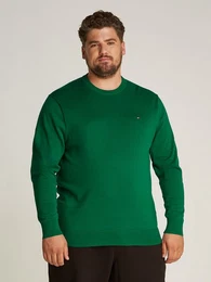 Tommy Hilfiger Big & Tall Rundhalspullover BT-ESSENTIAL COTTON CREW NECK-B in Groen Gren, Logostickerei