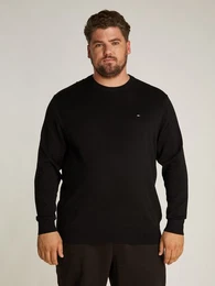Tommy Hilfiger Big & Tall Rundhalspullover BT-ESSENTIAL COTTON CREW NECK-B in Groen Gren, Logostickerei