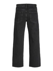 Jack & Jones 5-Pocket-Jeans JJIALEX JJARIS 