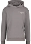 Sergio Tacchini Sweatshirt NOAH HOODIE Grau/Braun/Hellgrau/Lila