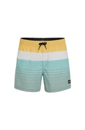 Boxer-Badehose MIX & MATCH CALI PRINT 15'' SWIM SH GREEN MIX&MATCH PANEL PR