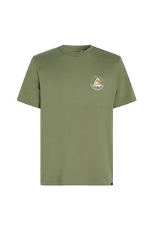 O'Neill T-Shirt TRVLR BACK PRINT T-SHIRT GRÜN