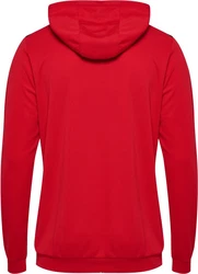 hummel Hoodie Hmlauthentic Pl Hoodie 