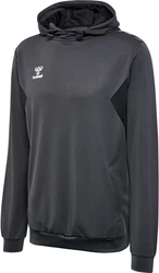 hummel Hoodie Hmlauthentic Pl Hoodie 