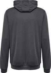 hummel Hoodie Hmlauthentic Pl Hoodie 