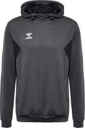 hummel Hoodie Hmlauthentic Pl Hoodie 