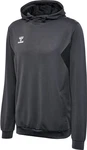 hummel Hoodie Hmlauthentic Pl Hoodie 