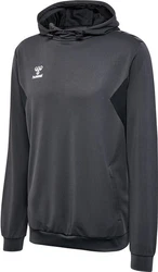 hummel Hoodie Hmlauthentic Pl Hoodie 