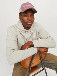 Jack & Jones Sweatshirt JJECORP LOGO SWEAT HOOD (3478) Hellgrau/Khaki/Beige/Grau/Braun