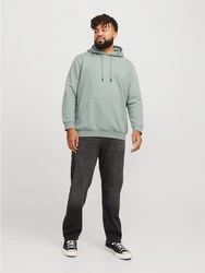 Jack & Jones Sweatshirt JJEBRADLEY HOOD NOOS PLS Grün/Hellgrün/Dunkelgrün/Hellblau/Khaki