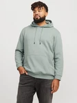 Jack & Jones Sweatshirt JJEBRADLEY HOOD NOOS PLS Grün/Hellgrün/Dunkelgrün/Hellblau/Khaki