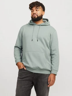 Jack & Jones Sweatshirt JJEBRADLEY HOOD NOOS PLS Grün/Hellgrün/Dunkelgrün/Hellblau/Khaki Jack & Jones Sweatshirt JJEBRADLEY HOOD NOOS PLS Grün/Hellgrün/Dunkelgrün/Hellblau/Khaki