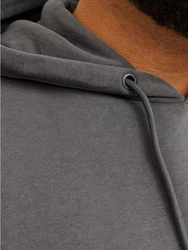 Jack & Jones Sweatshirt JJEBRADLEY HOOD NOOS PLS Dunkelgrau/Hellgrau/Grau/Schwarz