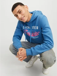 Jack & Jones Kapuzensweatshirt JJELOGO SWEAT HOOD 2 hellblau/pink/weiß