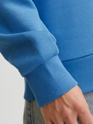 Jack & Jones Kapuzensweatshirt JJELOGO SWEAT HOOD 2 hellblau/pink/weiß