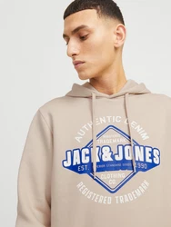 Jack & Jones Kapuzensweatshirt JJELOGO SWEAT HOOD 2 24/25