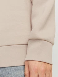 Jack & Jones Kapuzensweatshirt JJELOGO SWEAT HOOD 2 24/25