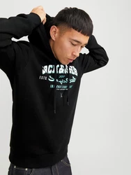 Jack & Jones Kapuzensweatshirt JJELOGO SWEAT HOOD 2 Schwarz/Rot/Braun/Grün/Blau/Hellblau