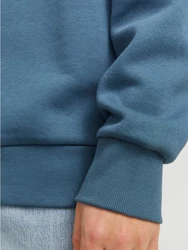 Jack & Jones Kapuzensweatshirt JJELOGO SWEAT HOOD 2 Blau/Hellblau/Grau