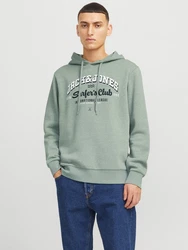 Jack & Jones Kapuzensweatshirt JJELOGO SWEAT HOOD 2 Grün/Hellgrün