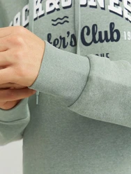 Jack & Jones Kapuzensweatshirt JJELOGO SWEAT HOOD 2 Grün/Hellgrün