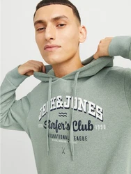Jack & Jones Kapuzensweatshirt JJELOGO SWEAT HOOD 2 Grün/Hellgrün