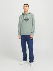 Jack & Jones Kapuzensweatshirt JJELOGO SWEAT HOOD 2 Grün/Hellgrün