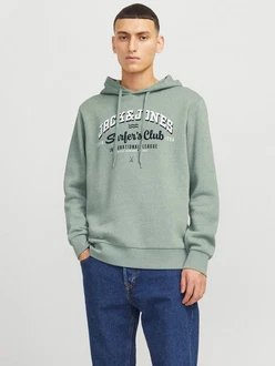 Jack & Jones Kapuzensweatshirt JJELOGO SWEAT HOOD 2 Grün/Hellgrün