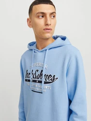 Jack & Jones Kapuzensweatshirt JJELOGO SWEAT HOOD 2 Hellblau/Blau