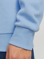 Jack & Jones Kapuzensweatshirt JJELOGO SWEAT HOOD 2 Hellblau/Blau
