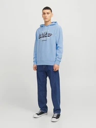 Jack & Jones Kapuzensweatshirt JJELOGO SWEAT HOOD 2 Hellblau/Blau