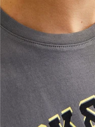 Jack & Jones T-Shirt JJELOGO TEE SS O-NECK 2 COL SS25 SN Grau/Dunkelgrau