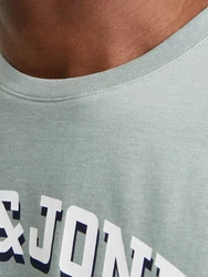 Jack & Jones T-Shirt JJELOGO TEE SS O-NECK 2 COL SS25 SN Grün/Hellgrün/Dunkelgrün