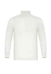 Sweatshirt Turtleneck jumper